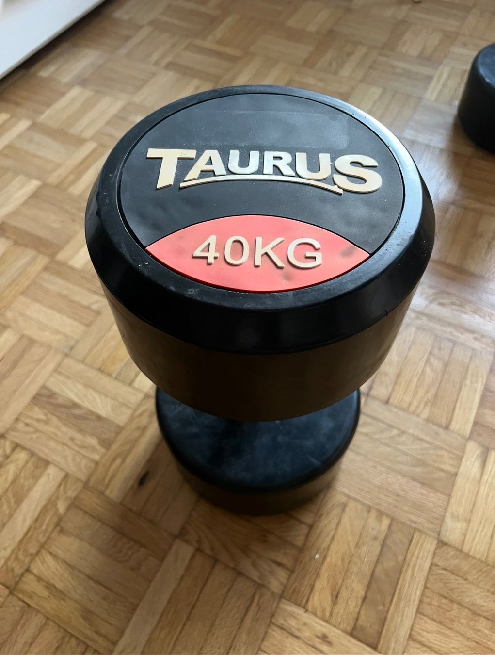 Taurus Poids & Haltères: Haltère Taurus 40 kg – D'occasion à Orbe par tom_q2vy