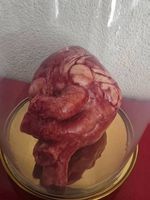 Herz aus Silikon Attrappe Lifesize