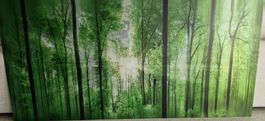 Wald-Natur-Bild Aluprint, 200x98cm