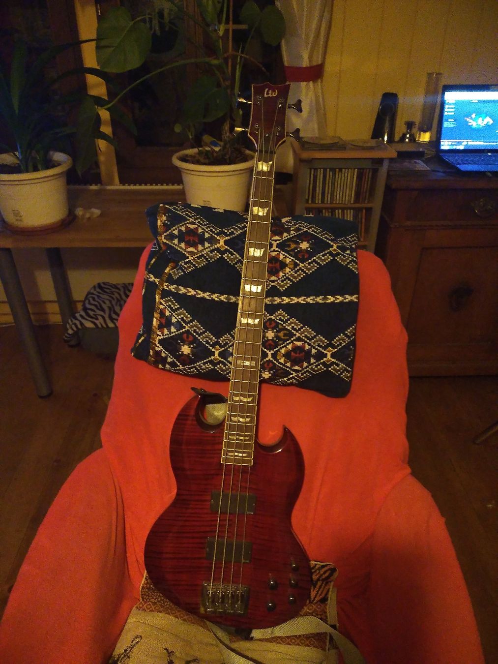 Musikinstrumente: Ltd elektro Bass Made in Indonesia – Neu (gemäss Beschreibung) aus Attinghausen von the_r2m8