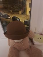 Chapeau très élégant marron feutre avec ruban de bon qualité