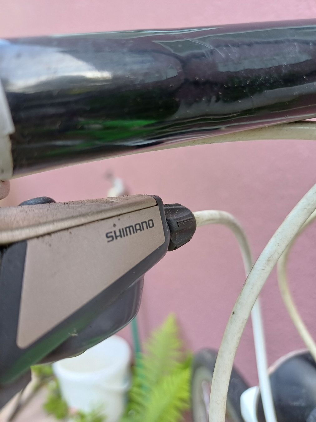 Cilo Biciclette: Cilo Vintage Velo – Usato da Zürich venduto da Avocadokern 2