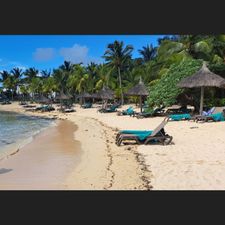 Profile image of Paradies_2022