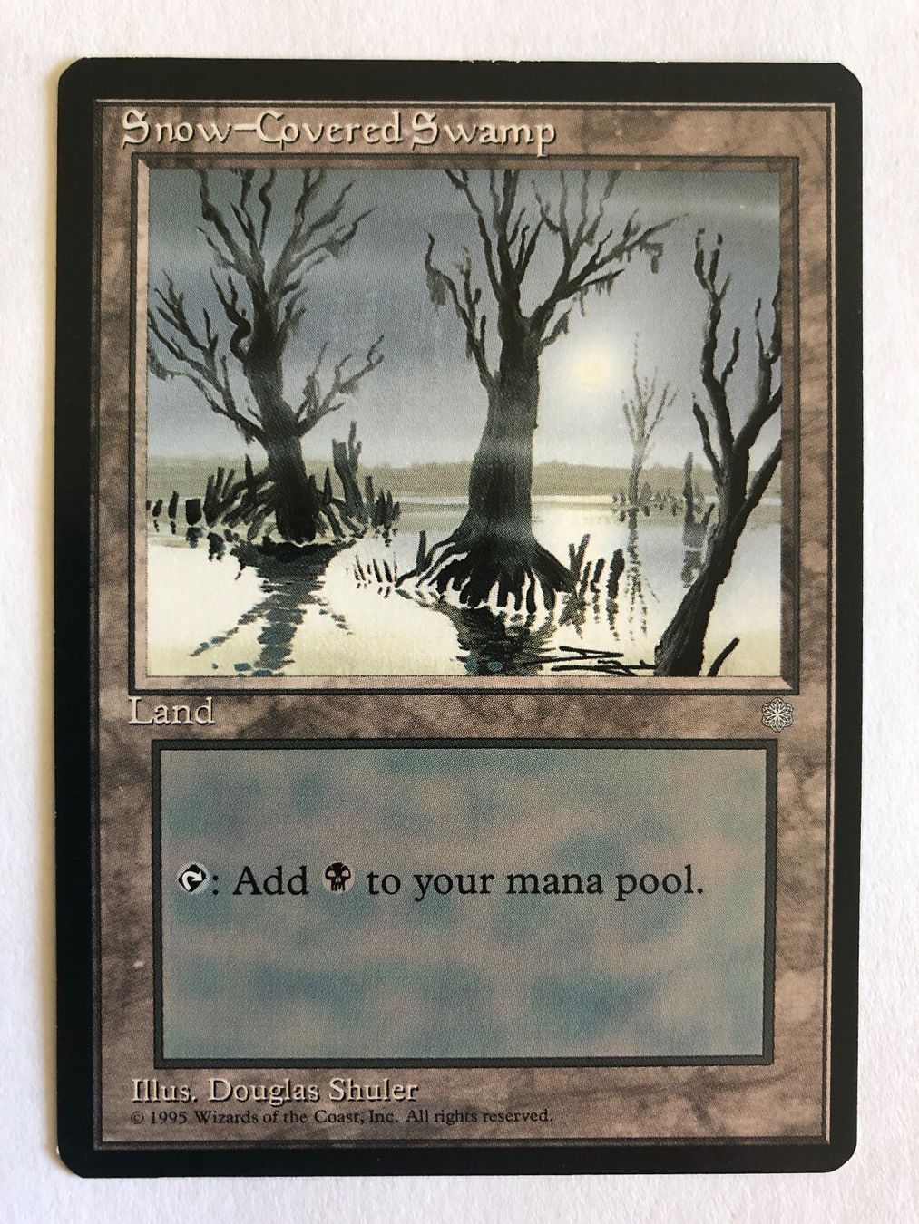 Magic The Gathering Carte collezionabili: MTG - Snow Covered Swamp - #direktkauf – Usato da Basel venduto da Melchior5