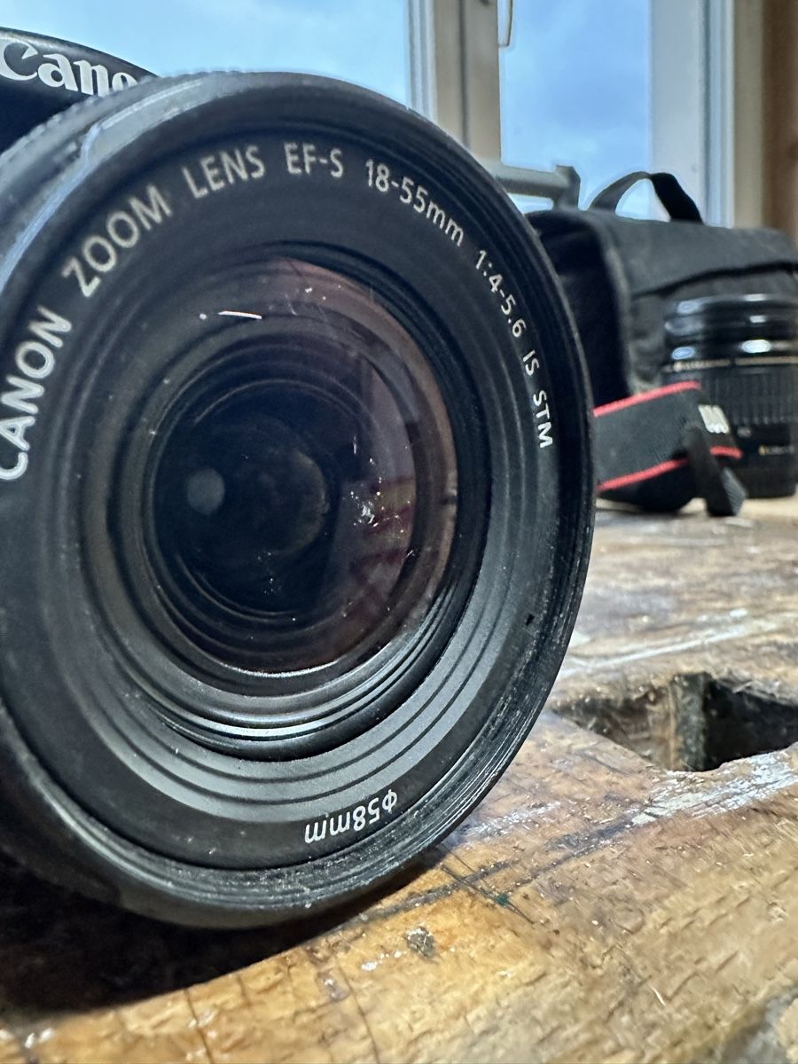 Canon Kamera: Canon EOS 250 D – Gebraucht aus Bremgarten AG von Vin_t55b 5