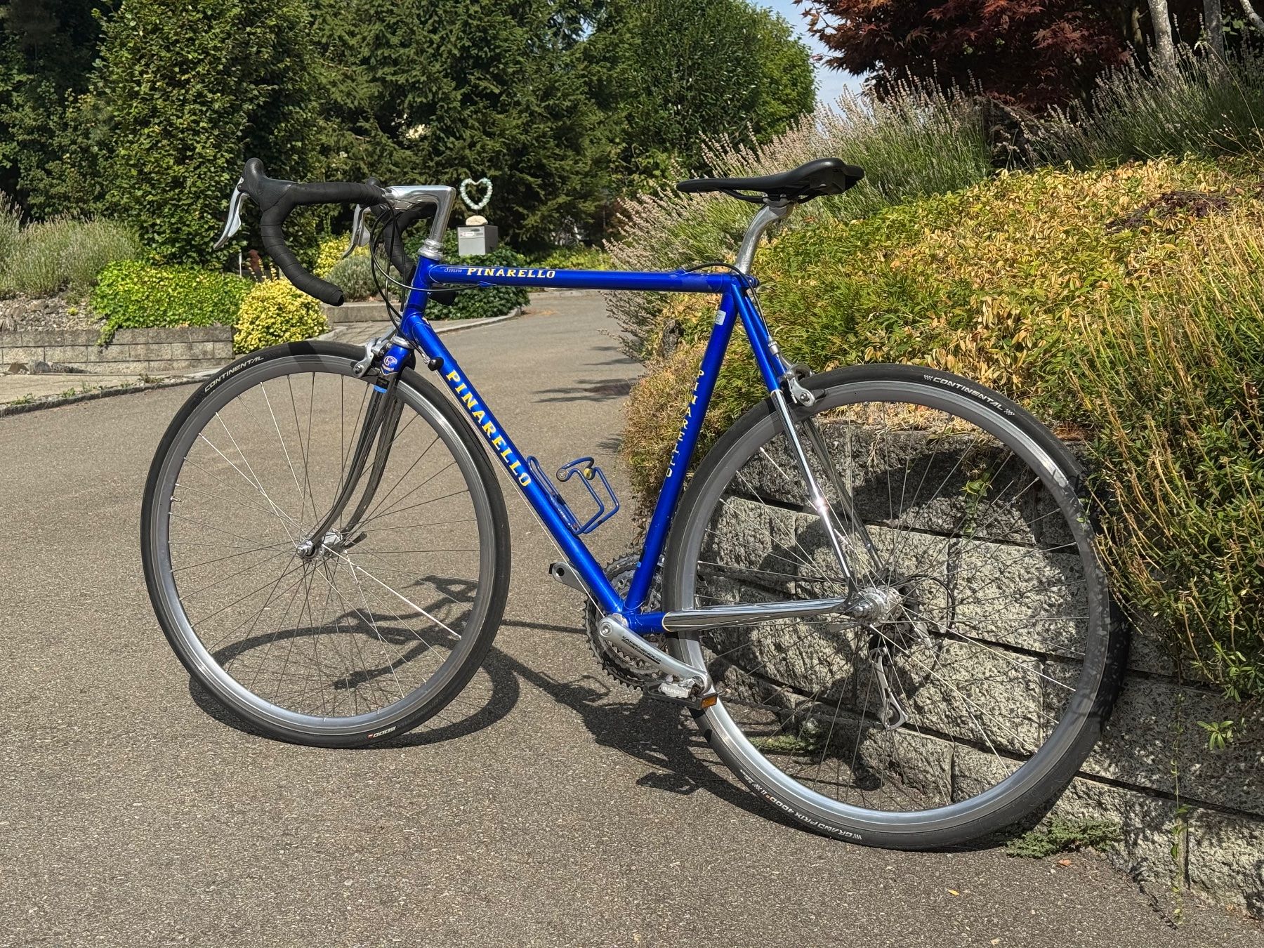 Biciclette: Pinarello Stelvio mit Campagnolo Komponenten – Usato da Berg SG venduto da cil_p8z9 1