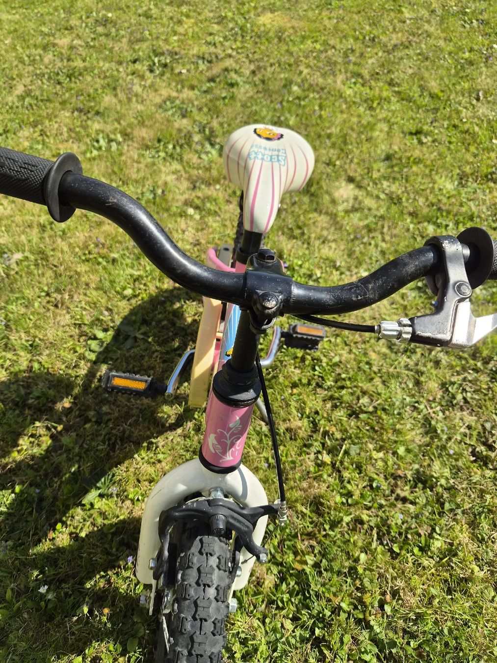 Scott Biciclette: Scott Contessa Kindervelo 12Zoll – Usato da Grenchen venduto da leilia 7