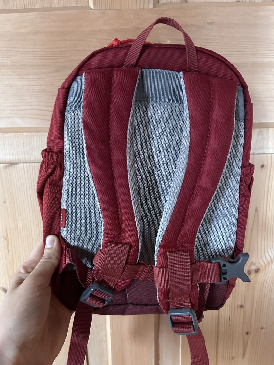 Deuter Borse & Zaini: Deuter Rucksack Pico – Usato da Grabserberg venduto da wenand95 1