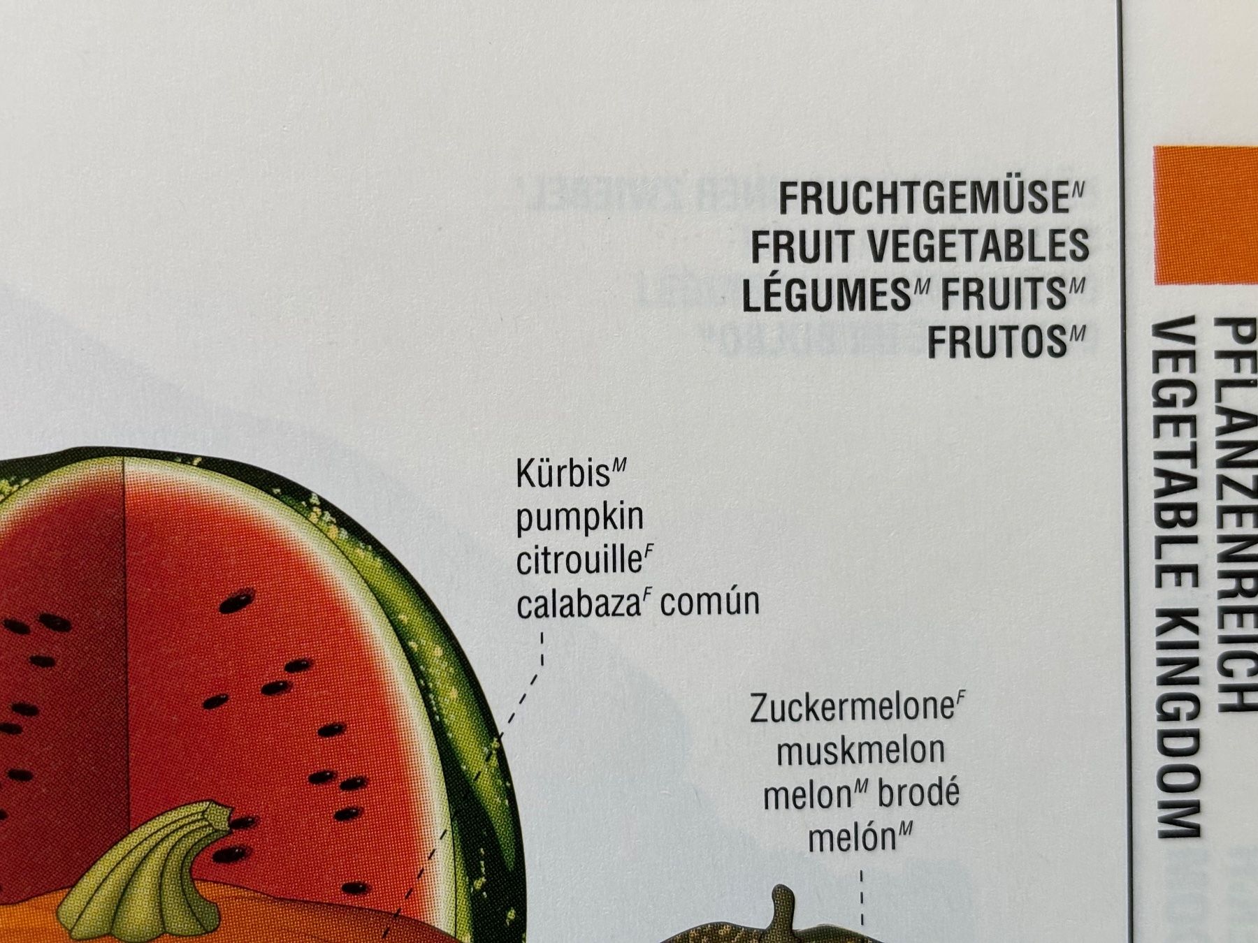 Libri: Das grosse Reader's Digest Bilderlexikon – Usato da Zürich venduto da Masaiti 7