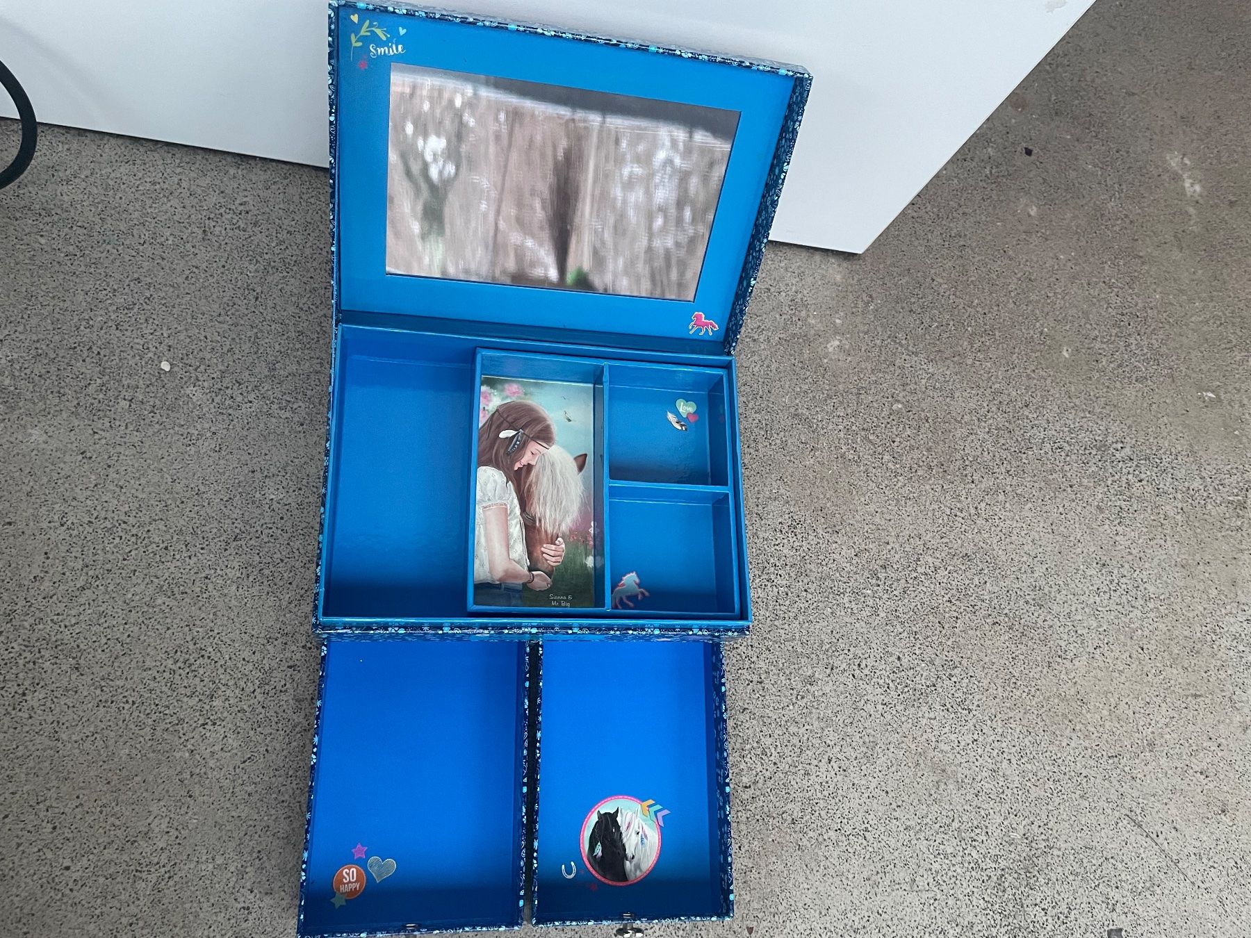 Cassapanche: Pferdeschmuckbox – Usato da Walenstadt venduto da mountaingirl30 2