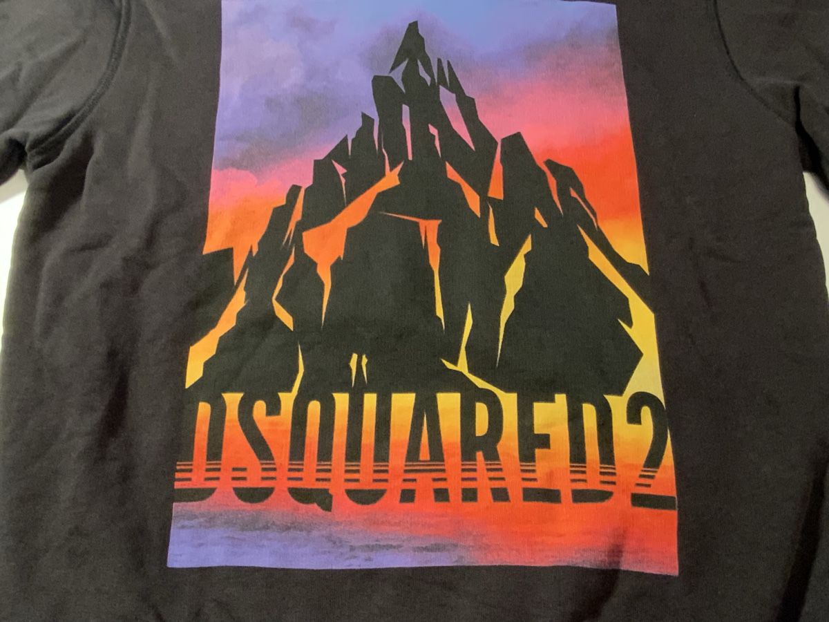 Dsquared2 Pullover & Sweatshirts: Kapuzenpullover, DSQUARED2, 16Y, super QUALITÄT! – Gebraucht aus Stäfa von sit_6wzd