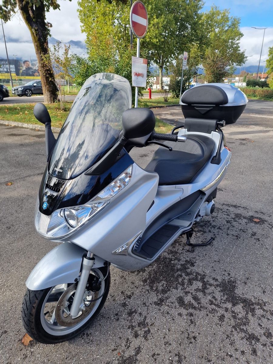 Piaggio Scooters: Piaggio X8 ab MFK – D'occasion à Thun par master007