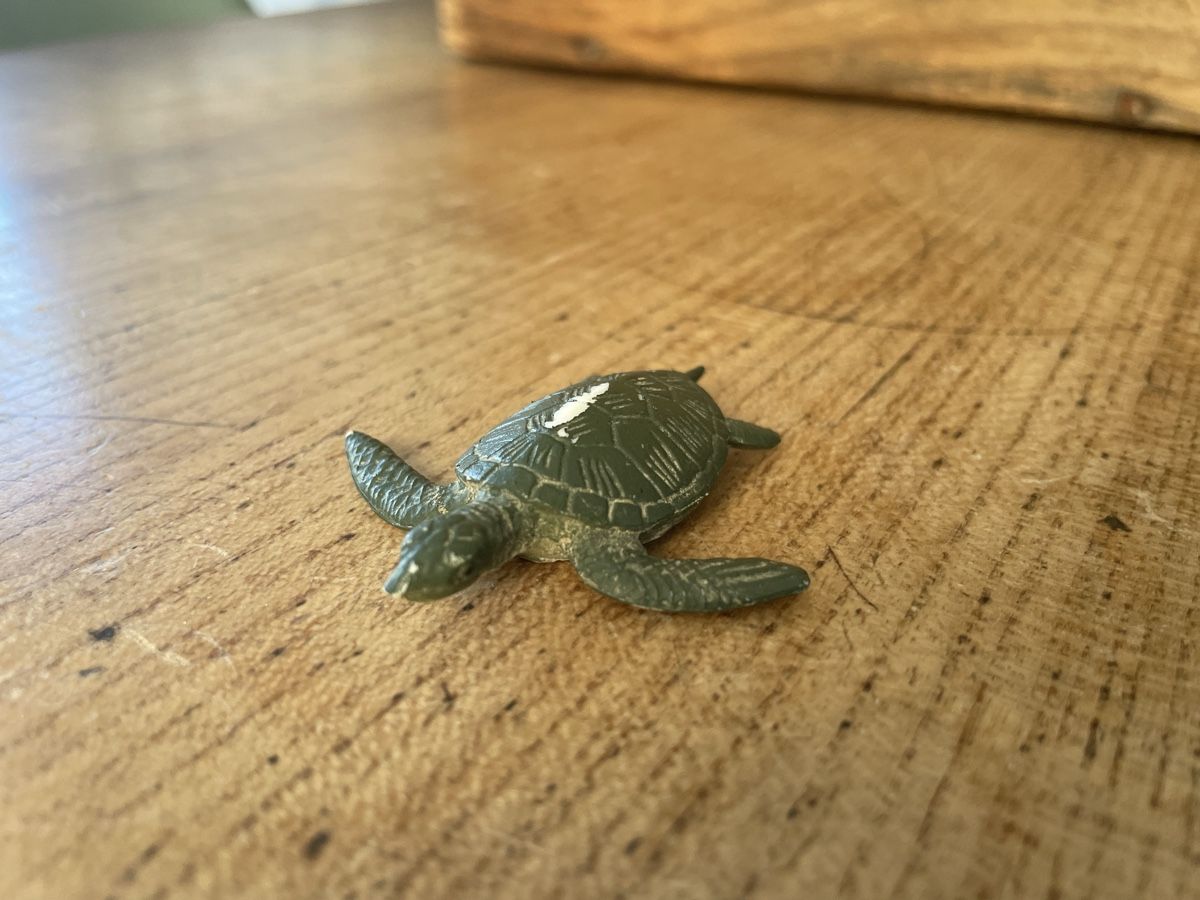 Schleich Giocattoli: Schleich Wasser Schildkröte  – Usato da Bonstetten venduto da soleillle
