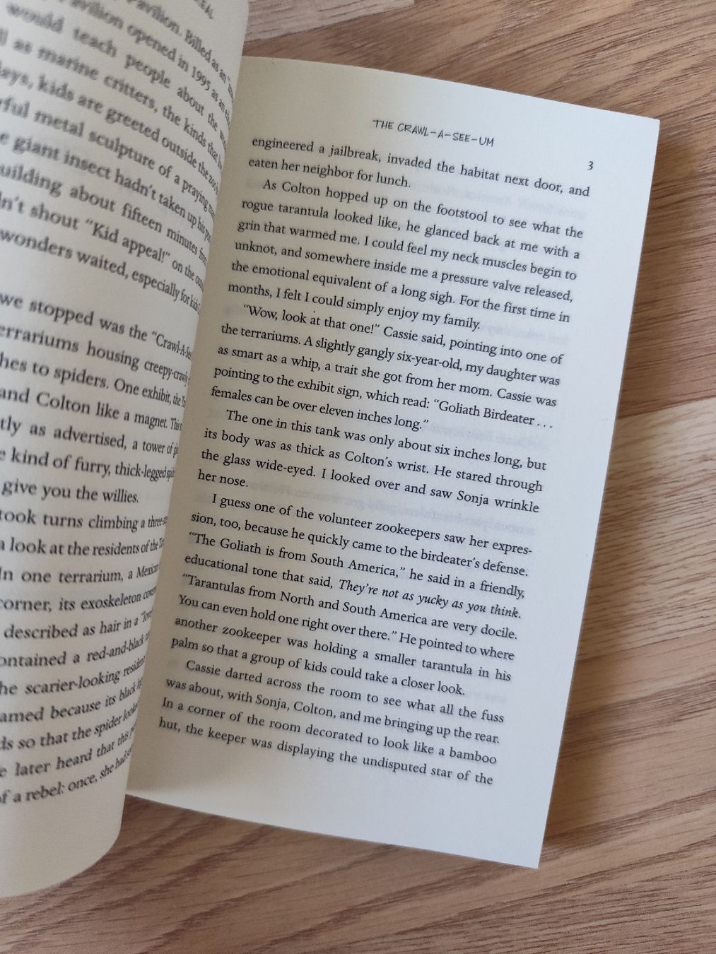 Libri: Heaven Is for Real, Todd Burpo – Usato da Mägenwil venduto da VintageGirly 5