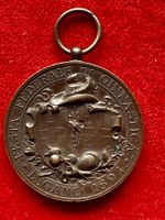TICINO - LUGANO FESTA FEDERALE DI GINNASTICA 1894 Med. Br.