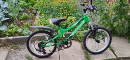 Kinderfahrrad Leopard 18 Zoll guter Zustand grün