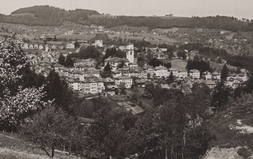 Cartoline postali: Heiden  Kurort – Usato da Aarau venduto da kufi44 1