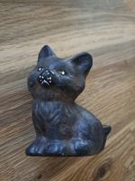 Tonkatze zu verkaufen