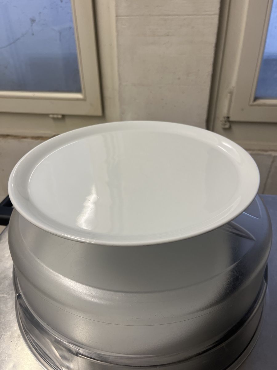 Piatti: 50 Pizza / Steak Teller 30 cm – Usato da Dittingen venduto da Cervolino77 2