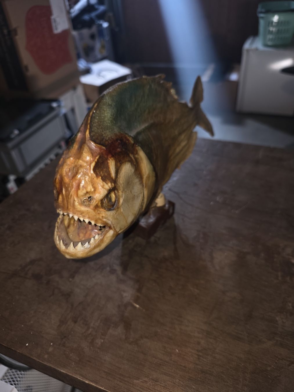 Il mondo degli animali: Phirania Präparat – Usato da Hasle LU venduto da Auctions_Hunters
