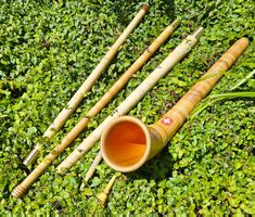 Alphorn  in As/G/Fis  STOCKER (sehr gute Occasion) mit Etui