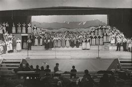 Foto E. Grubenmann, Appenzell, Trachten, Aufführung, 1963