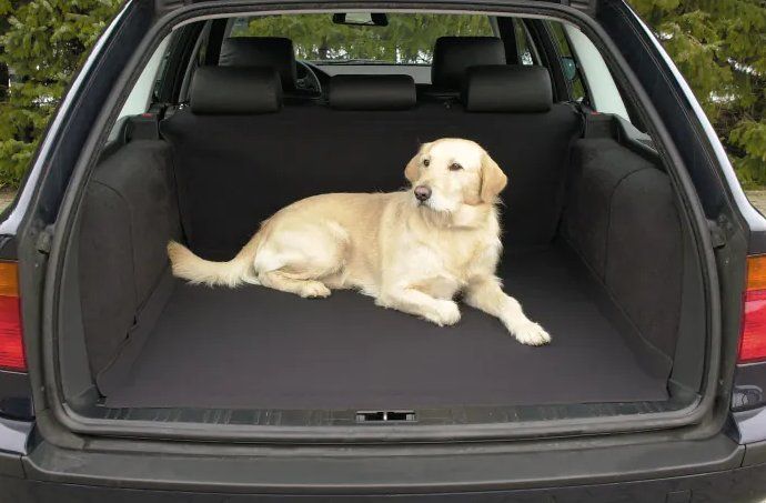 Josty Kofferraumdecke für Hunde, schwarz - 150x120cm 1