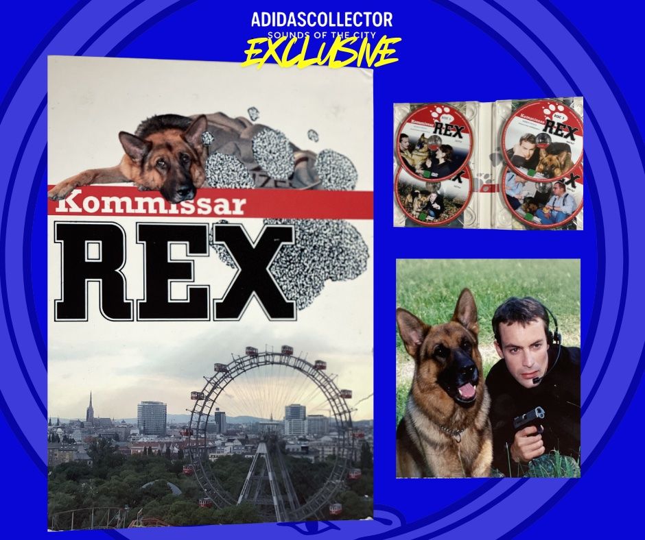 Tutti i DVDs: Kommisar Rex 1. Staffel (Disc 2-6) - Top – Usato da Muri b. Bern venduto da AdidasCollector