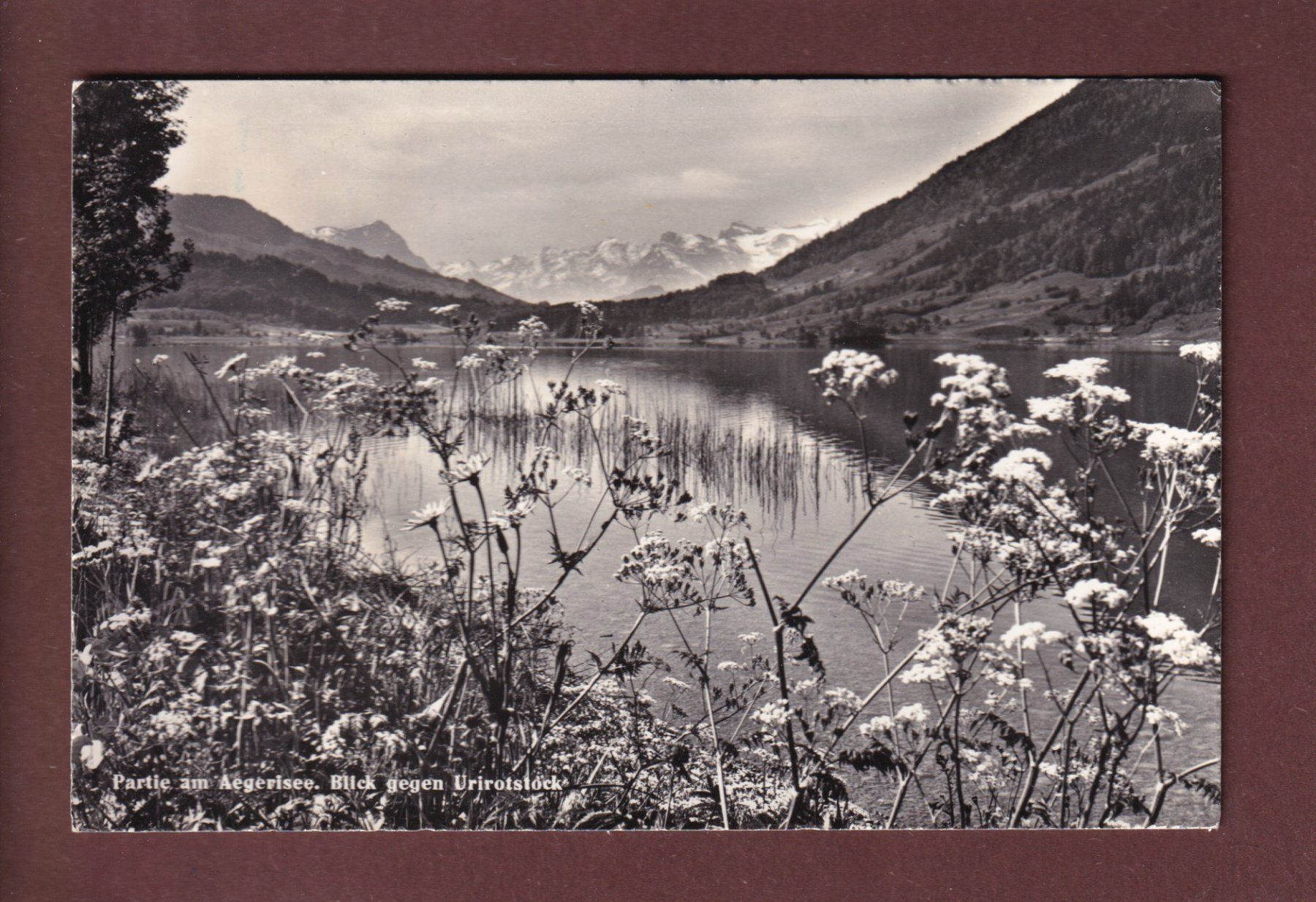 Cartoline postali: Am AEGERISEE - 1959 – Usato da Pully venduto da nicecards