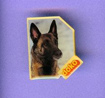 Hunderasse    MALINOIS