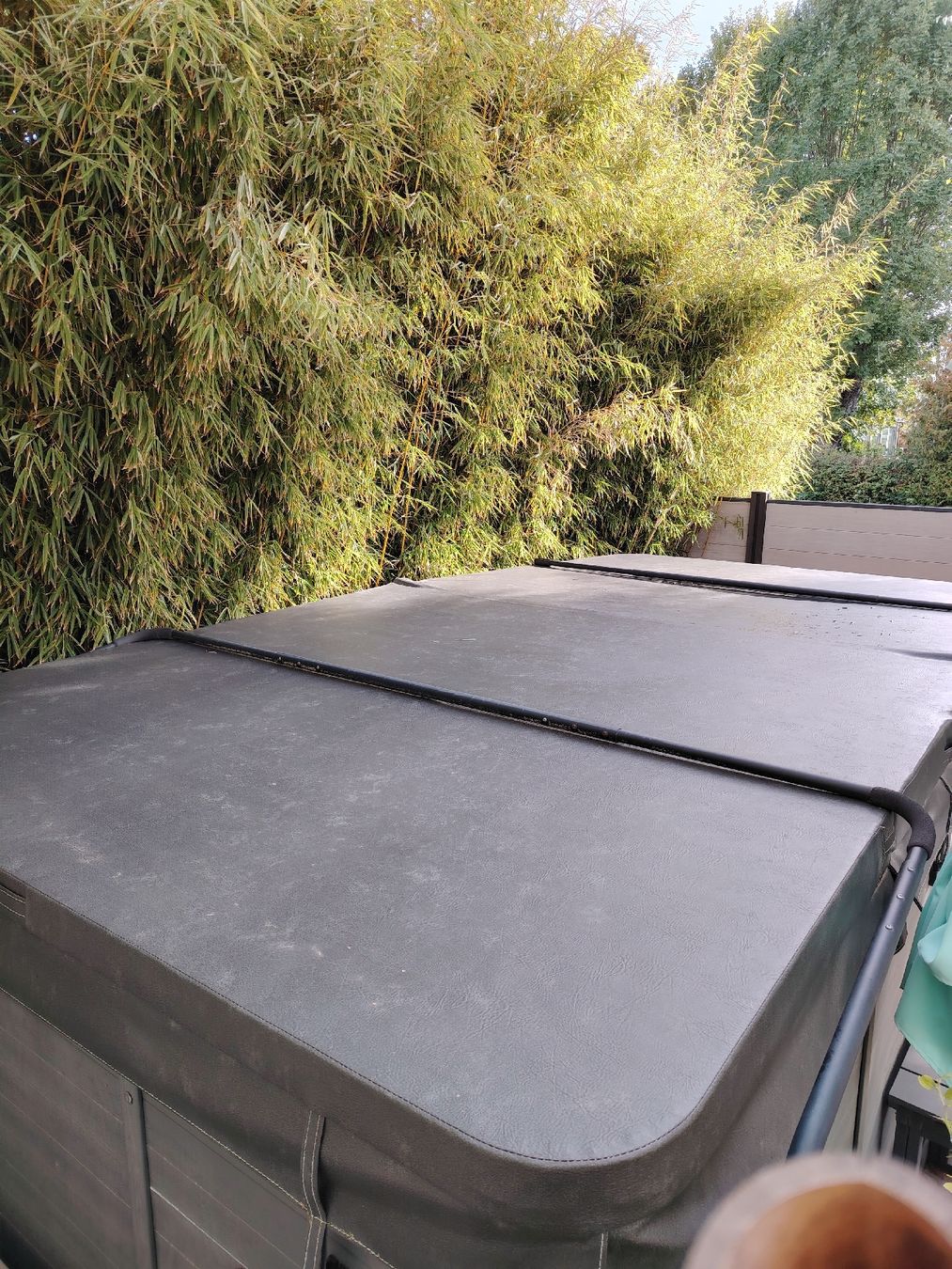 Whirlpool: Spa de nage + pompe à chaleur – Gebraucht aus Penthalaz von Fever1 5