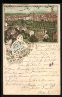 Litho Berne, Ortsansicht aus der Vogelsc