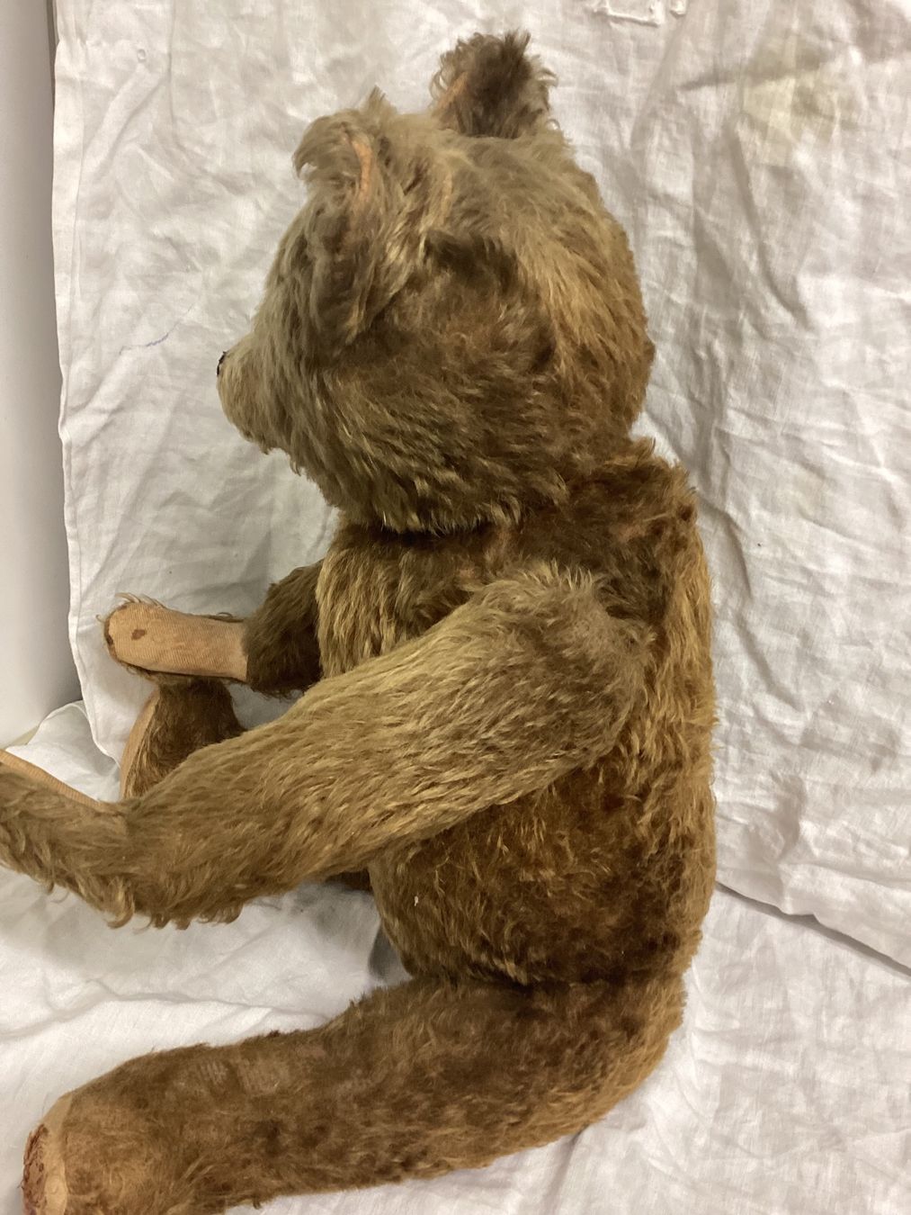 Bing Giocattoli: ANTIKER TEDDY – Usato da Münchenstein venduto da NoSu98 4