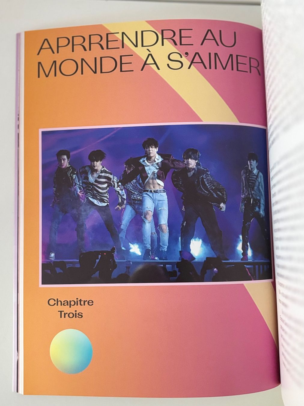 Libri: BTS livre Blood Sweat & Tears – Nuovo (secondo la descrizione) da Nyon venduto da man_8pzr 2