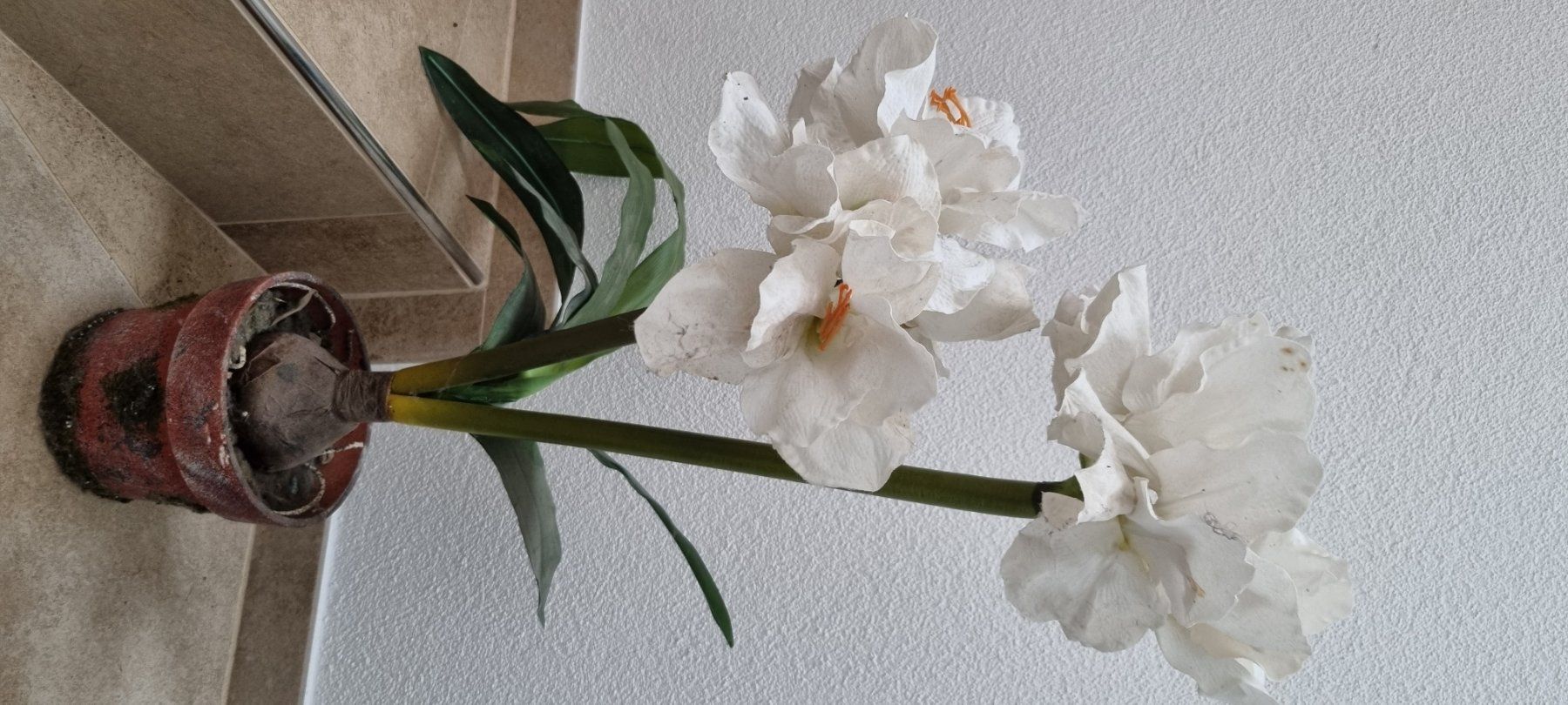 Piante & sementi: Künstliche Amaryllis gross – Usato da Grossdietwil venduto da GNOM313