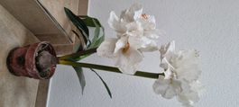 Künstliche Amaryllis gross