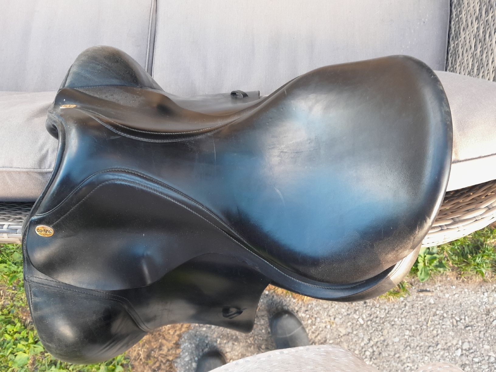 Selle & Accessori: Cobra Dressursattel – Usato da Davos Frauenkirch venduto da reg_95gr 3