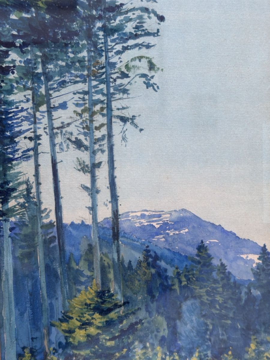 Dipinti: Aquarell antik, signiert – Usato da Biberist venduto da Momo33 1