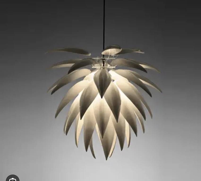 Piante & sementi: Jeremy Cole Aloe Blossom 100cm – Usato da Zollikerberg venduto da sop_p82l