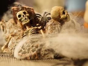 Piante e fiori finti: Halloween Spinnennetz weiß 50g – Nuovo e nell'imballaggio originale da Däniken SO venduto da Profog1 4