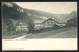 AK Beatenberg, Hotel Alpenrose