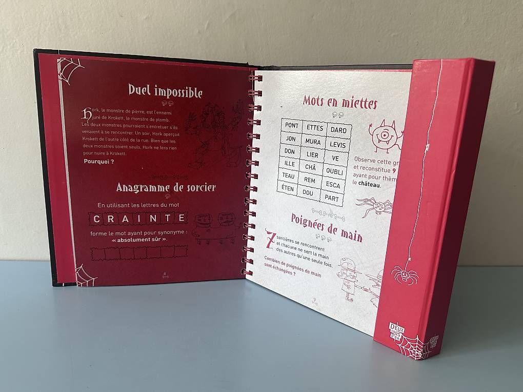 Libri: Livre d'énigmes  – Usato da Riex venduto da bonjour8 2