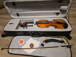 Violine 