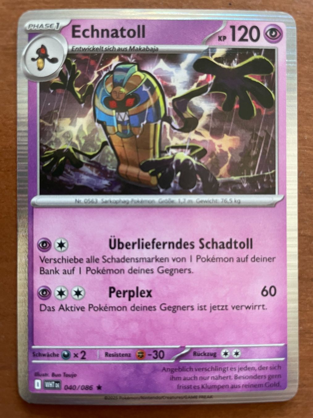 Pokémon Carte collezionabili: Pokemon Echnatoll Holo (Versand gratis) – Nuovo (secondo la descrizione) da Chur venduto da Angerson