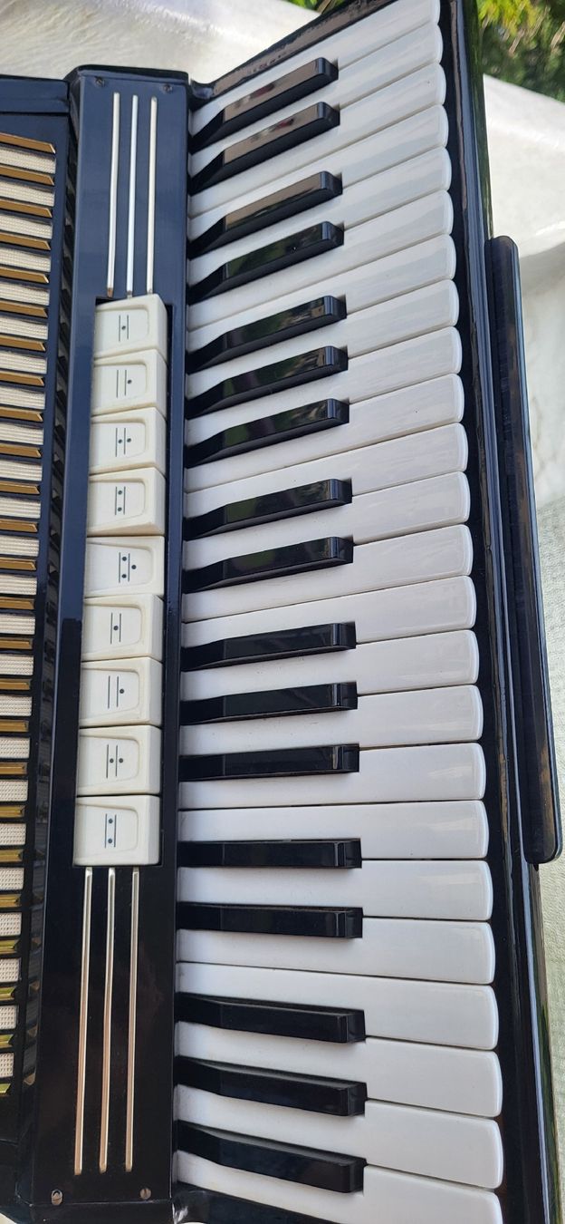 Strumenti musicali: Accordéon hohner Verdi III  – Usato da Penthalaz venduto da EvandroLuz 4