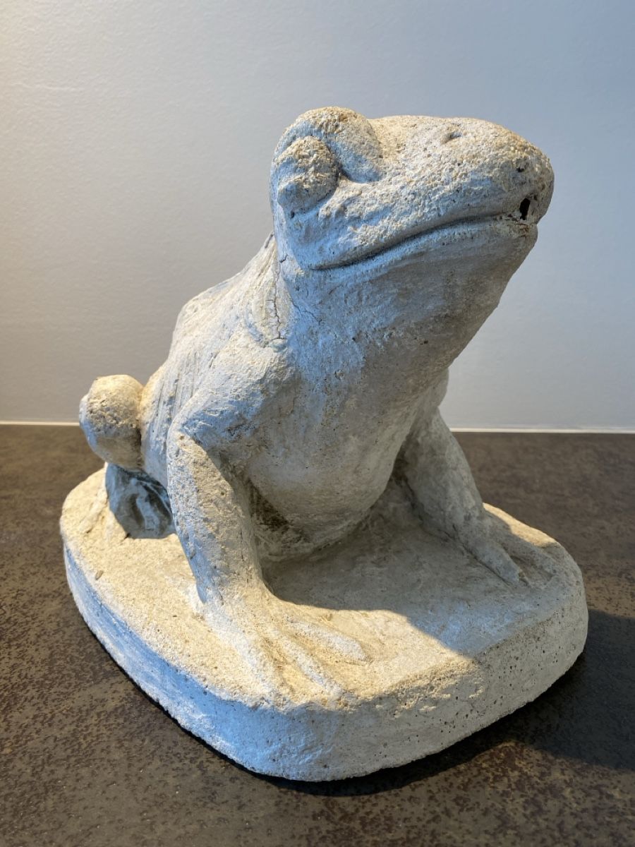 Sculture & Statue: Concrete frog – Usato da Glis venduto da Rhonevalley