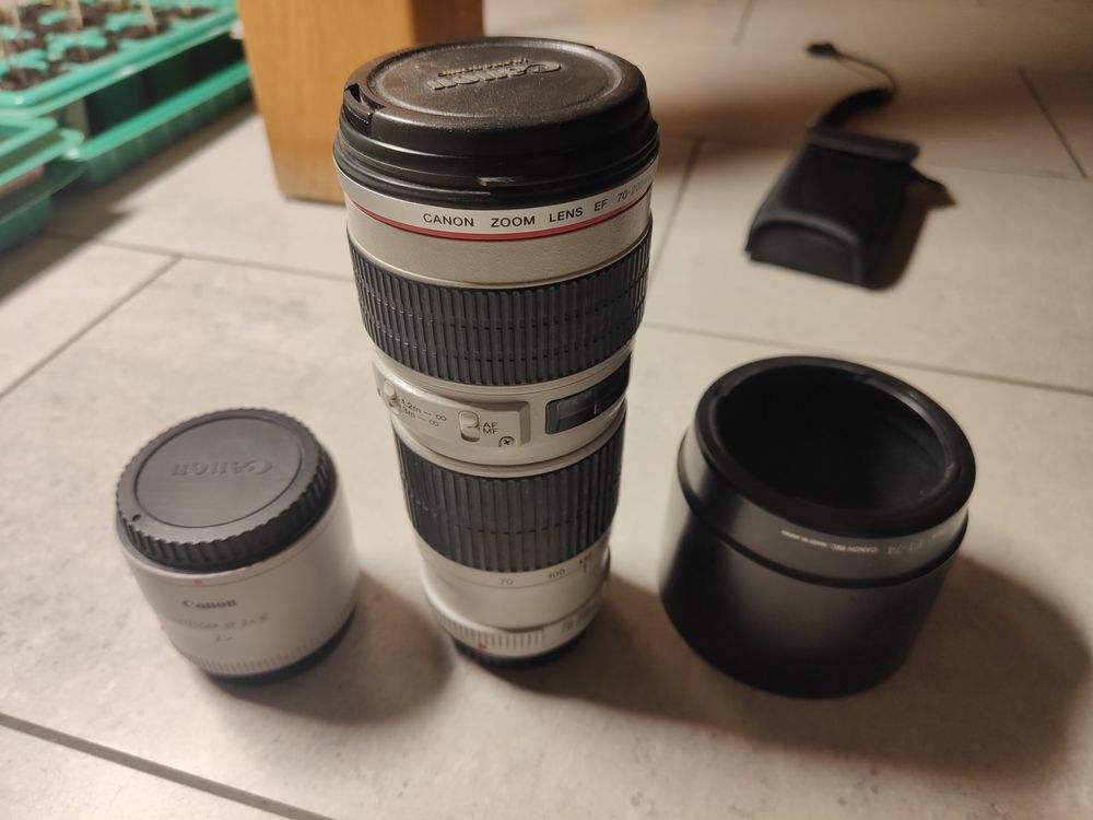 Canon EF 70-200 1:4 L USM und Extender 2x | Kaufen auf Ricardo