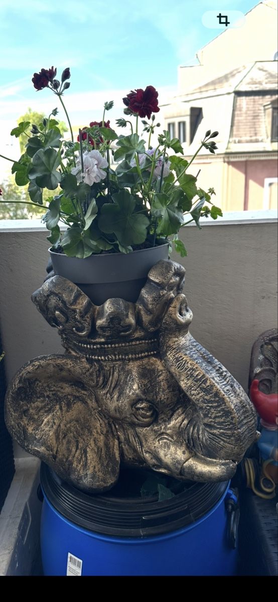 Vasi per fiori: Robuste Blumentopf mit Elefant 🐘 Optik – Nuovo (secondo la descrizione) da Basel venduto da Ivana_4 7