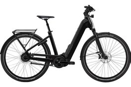 NEU E-BIKE FLYER 25KM/H | 95NM & 750WH FIT RIEMEN