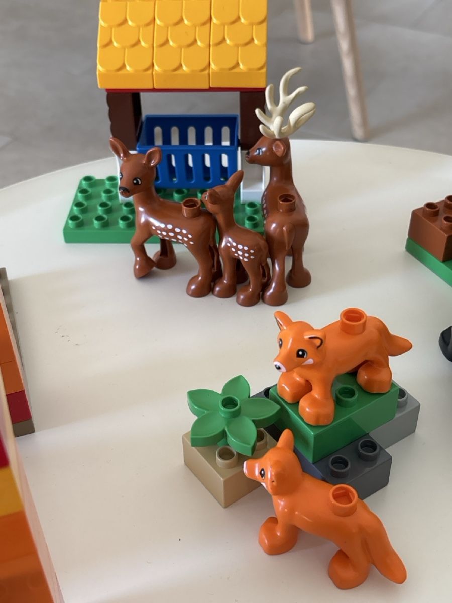 Lego Jeux de construction: Duplo parc animalier  – D'occasion à Lausanne par pabernard 2